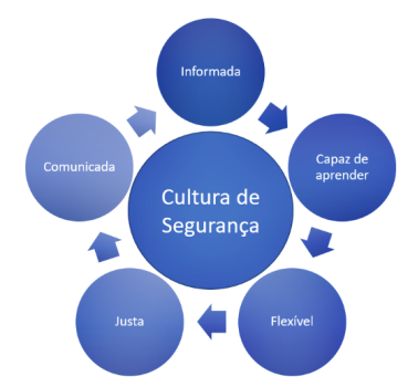 ANAC - Cultura de Segurança